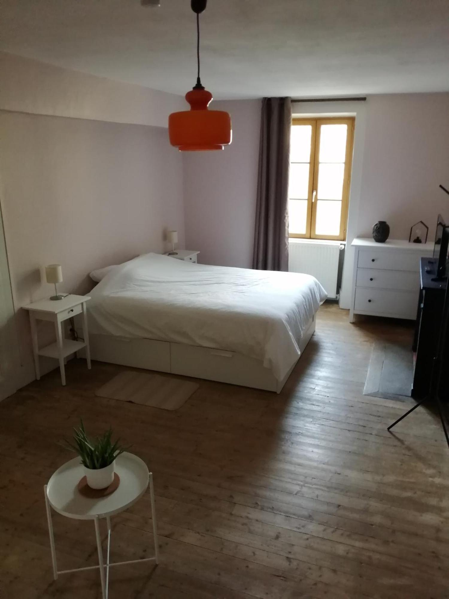 Apartamento A La Halte Des Gorges Nevy-Sur-Seille Exterior foto